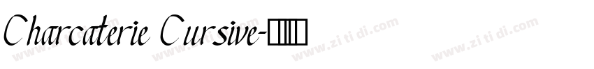 Charcaterie Cursive字体转换